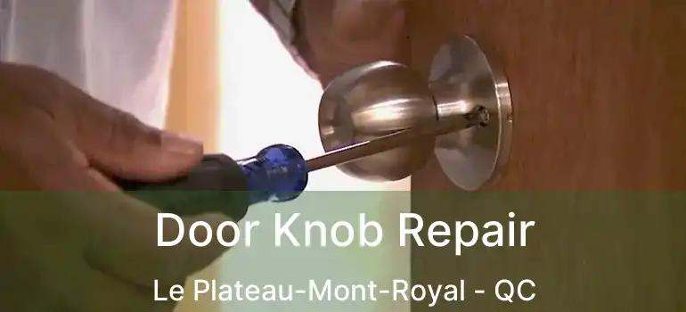  Door Knob Repair Le Plateau-Mont-Royal - QC