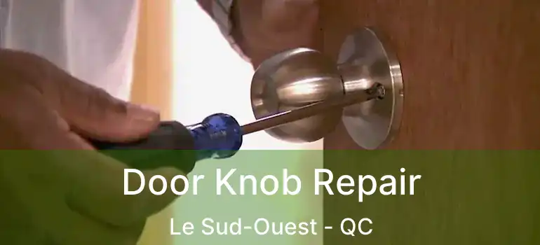  Door Knob Repair Le Sud-Ouest - QC