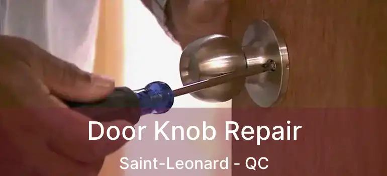 Door Knob Repair Saint-Leonard - QC