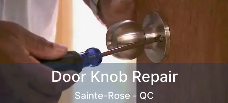  Door Knob Repair Sainte-Rose - QC