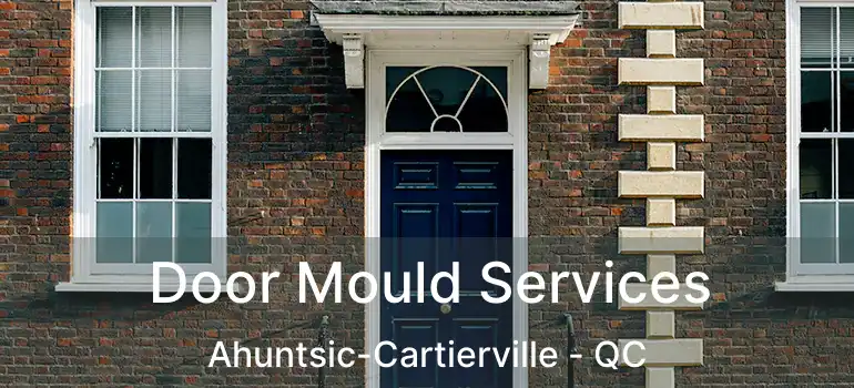  Door Mould Services Ahuntsic-Cartierville - QC