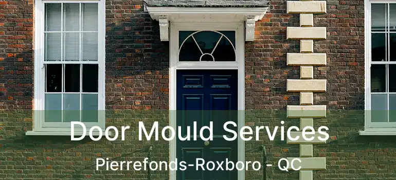  Door Mould Services Pierrefonds-Roxboro - QC