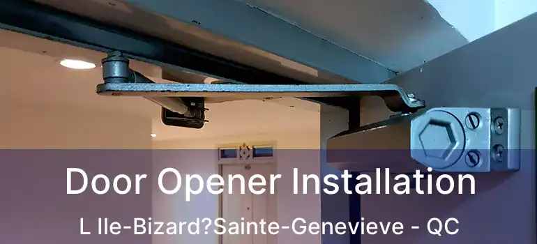  Door Opener Installation L Ile-Bizard?Sainte-Genevieve - QC