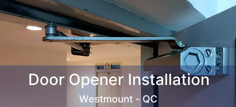  Door Opener Installation Westmount - QC