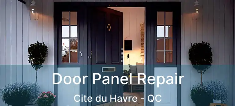  Door Panel Repair Cite du Havre - QC