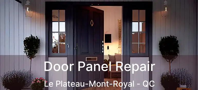  Door Panel Repair Le Plateau-Mont-Royal - QC
