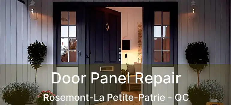  Door Panel Repair Rosemont-La Petite-Patrie - QC