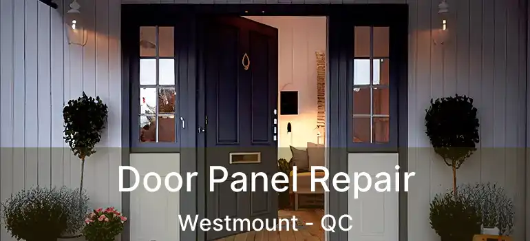  Door Panel Repair Westmount - QC