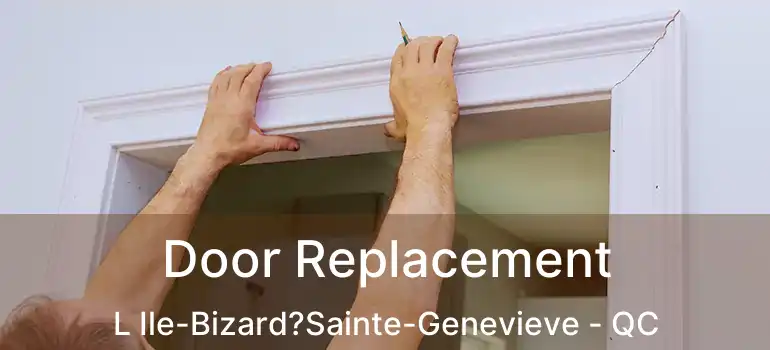  Door Replacement L Ile-Bizard?Sainte-Genevieve - QC