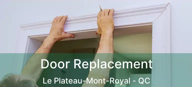 Door Replacement Le Plateau-Mont-Royal - QC