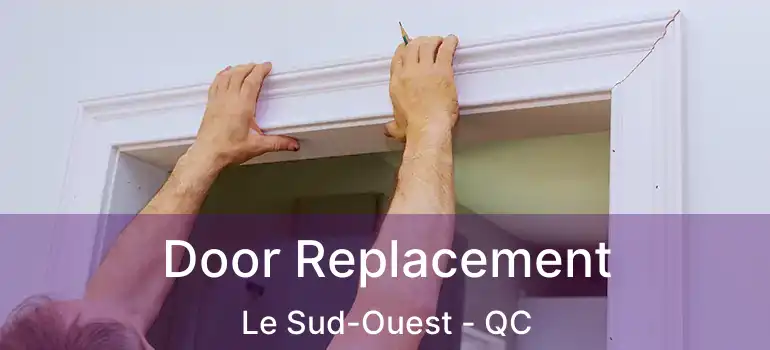  Door Replacement Le Sud-Ouest - QC