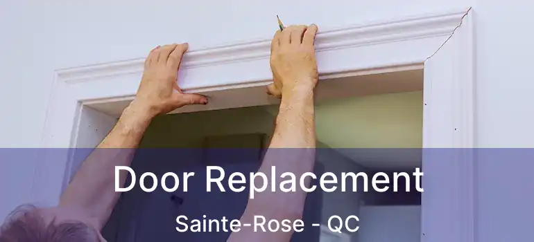  Door Replacement Sainte-Rose - QC
