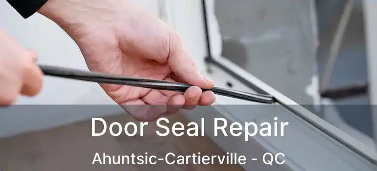  Door Seal Repair Ahuntsic-Cartierville - QC