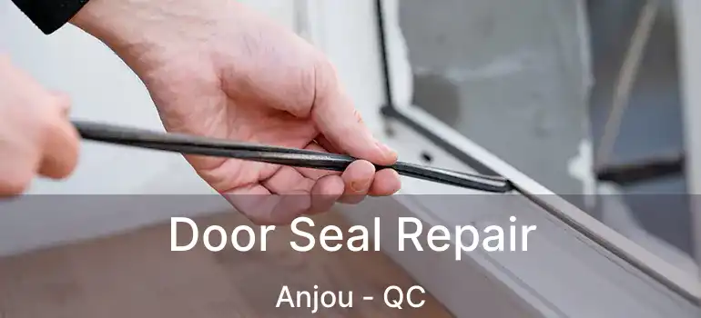  Door Seal Repair Anjou - QC