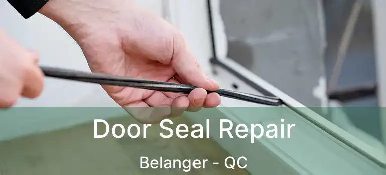  Door Seal Repair Belanger - QC
