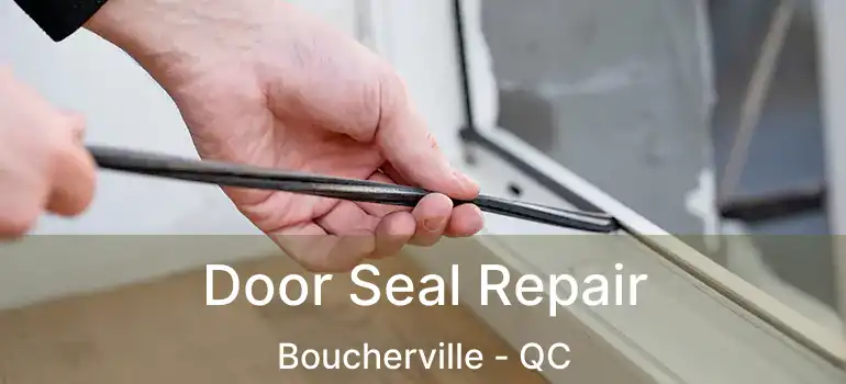  Door Seal Repair Boucherville - QC