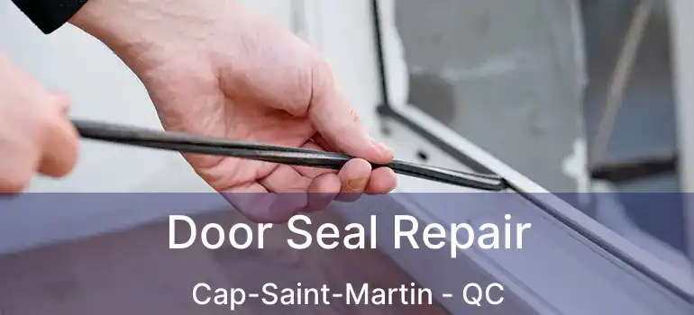  Door Seal Repair Cap-Saint-Martin - QC