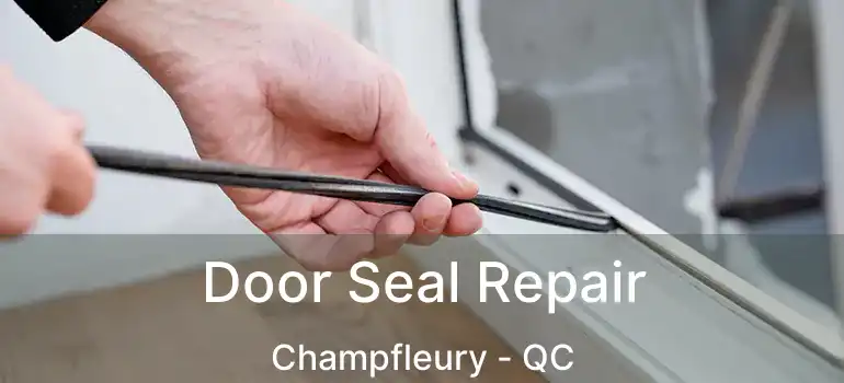  Door Seal Repair Champfleury - QC