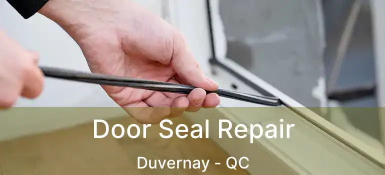  Door Seal Repair Duvernay - QC