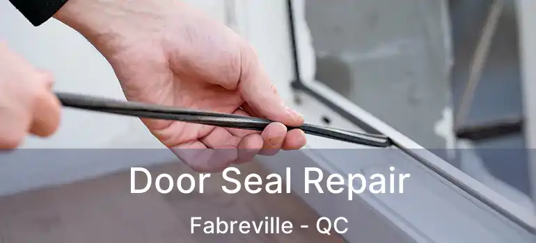  Door Seal Repair Fabreville - QC