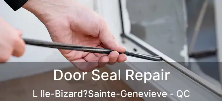  Door Seal Repair L Ile-Bizard?Sainte-Genevieve - QC