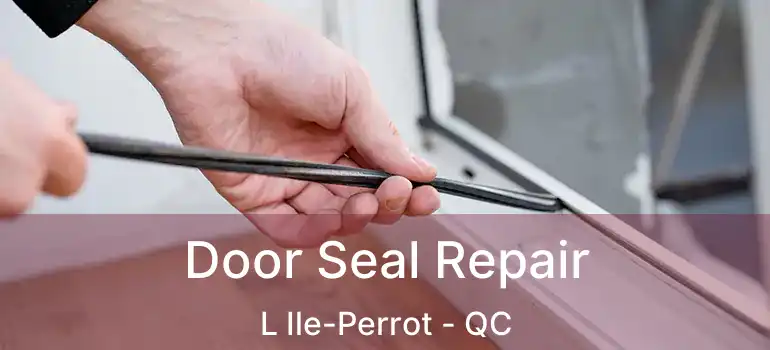  Door Seal Repair L Ile-Perrot - QC