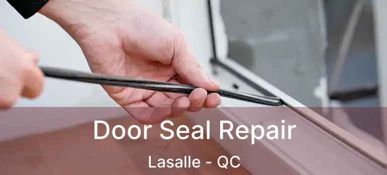  Door Seal Repair Lasalle - QC