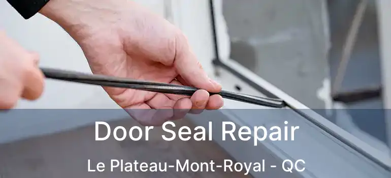  Door Seal Repair Le Plateau-Mont-Royal - QC