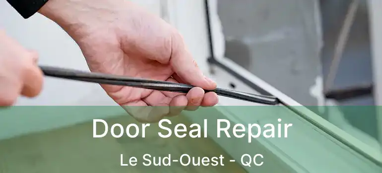  Door Seal Repair Le Sud-Ouest - QC