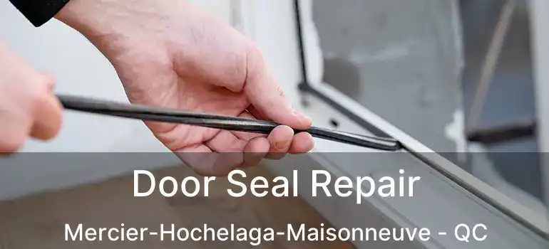  Door Seal Repair Mercier-Hochelaga-Maisonneuve - QC