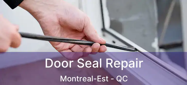  Door Seal Repair Montreal-Est - QC