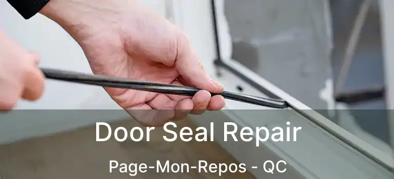  Door Seal Repair Page-Mon-Repos - QC