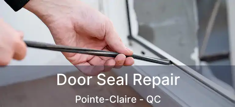  Door Seal Repair Pointe-Claire - QC
