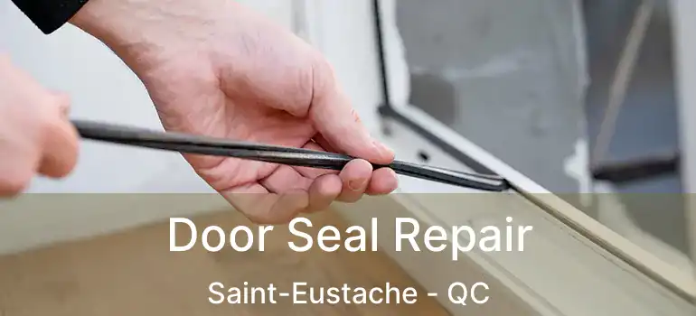  Door Seal Repair Saint-Eustache - QC