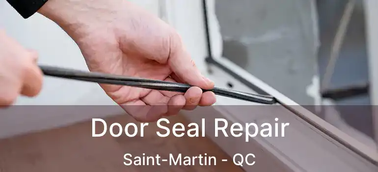  Door Seal Repair Saint-Martin - QC