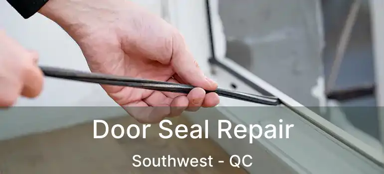  Door Seal Repair Southwest - QC