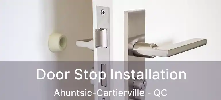  Door Stop Installation Ahuntsic-Cartierville - QC