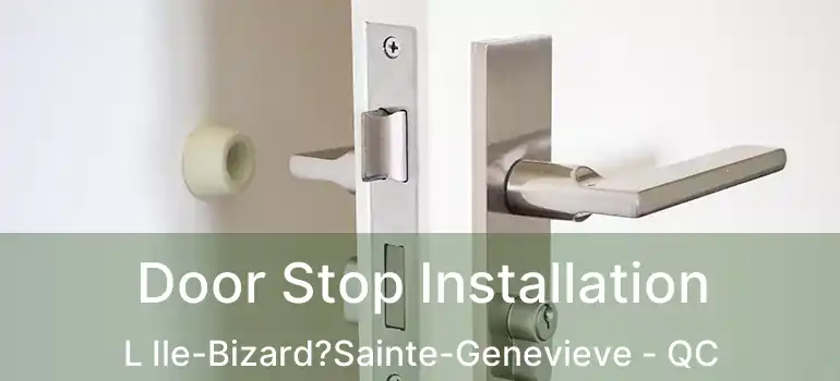  Door Stop Installation L Ile-Bizard?Sainte-Genevieve - QC