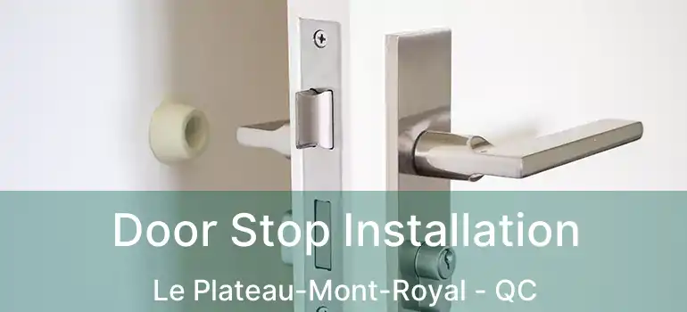  Door Stop Installation Le Plateau-Mont-Royal - QC