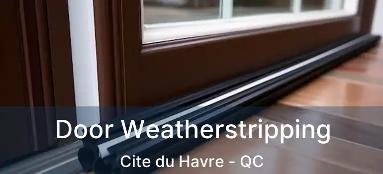  Door Weatherstripping Cite du Havre - QC