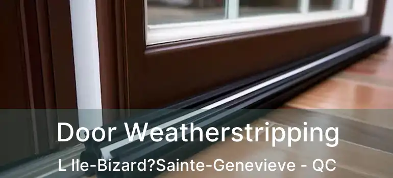  Door Weatherstripping L Ile-Bizard?Sainte-Genevieve - QC