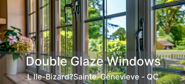  Double Glaze Windows L Ile-Bizard?Sainte-Genevieve - QC
