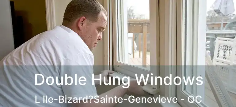  Double Hung Windows L Ile-Bizard?Sainte-Genevieve - QC
