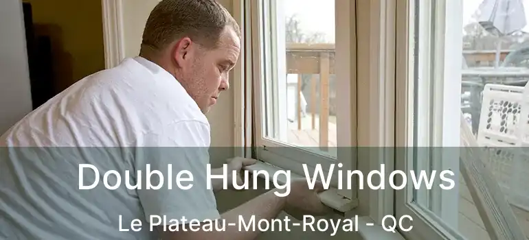  Double Hung Windows Le Plateau-Mont-Royal - QC