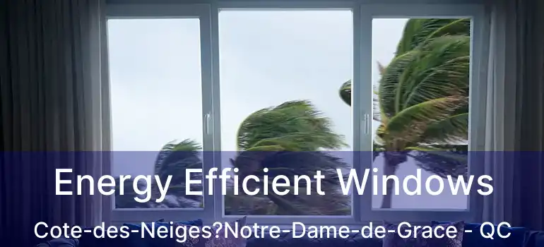  Energy Efficient Windows Cote-des-Neiges?Notre-Dame-de-Grace - QC