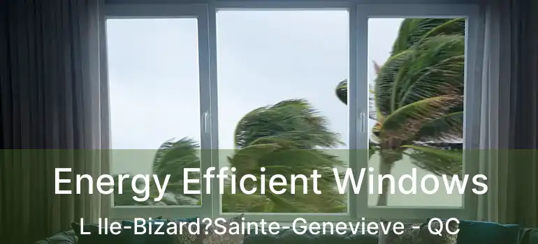  Energy Efficient Windows L Ile-Bizard?Sainte-Genevieve - QC
