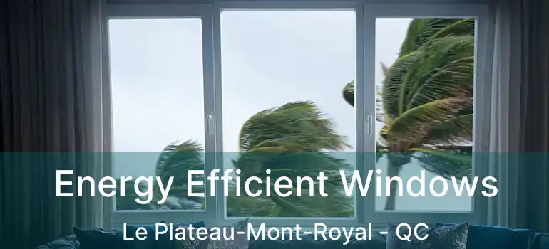  Energy Efficient Windows Le Plateau-Mont-Royal - QC