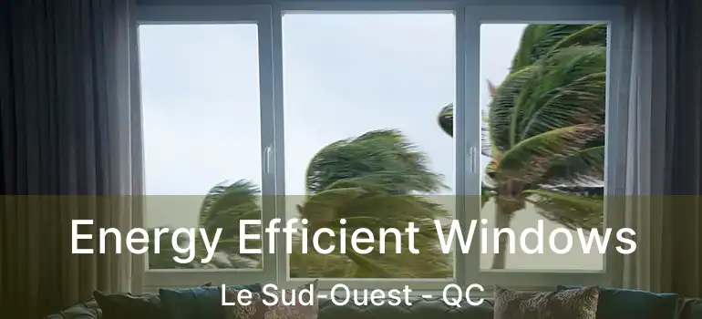  Energy Efficient Windows Le Sud-Ouest - QC
