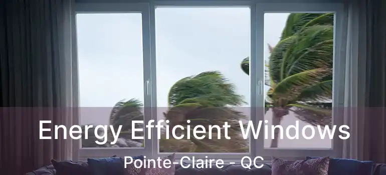  Energy Efficient Windows Pointe-Claire - QC