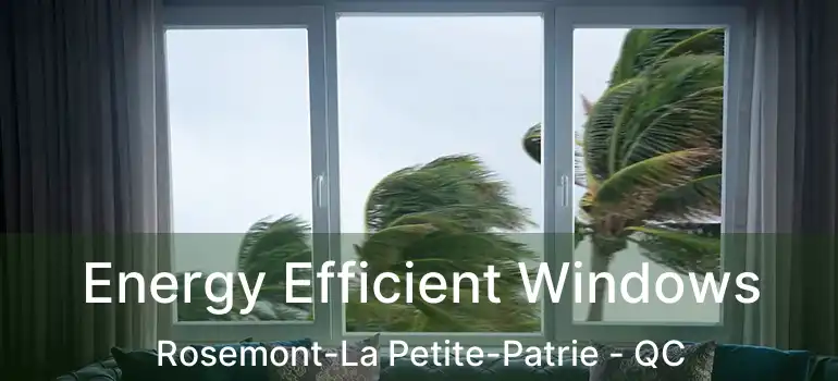  Energy Efficient Windows Rosemont-La Petite-Patrie - QC